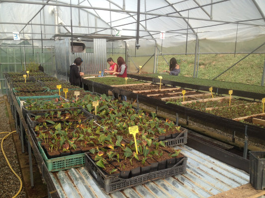 Foto Alternanza quinta agraria