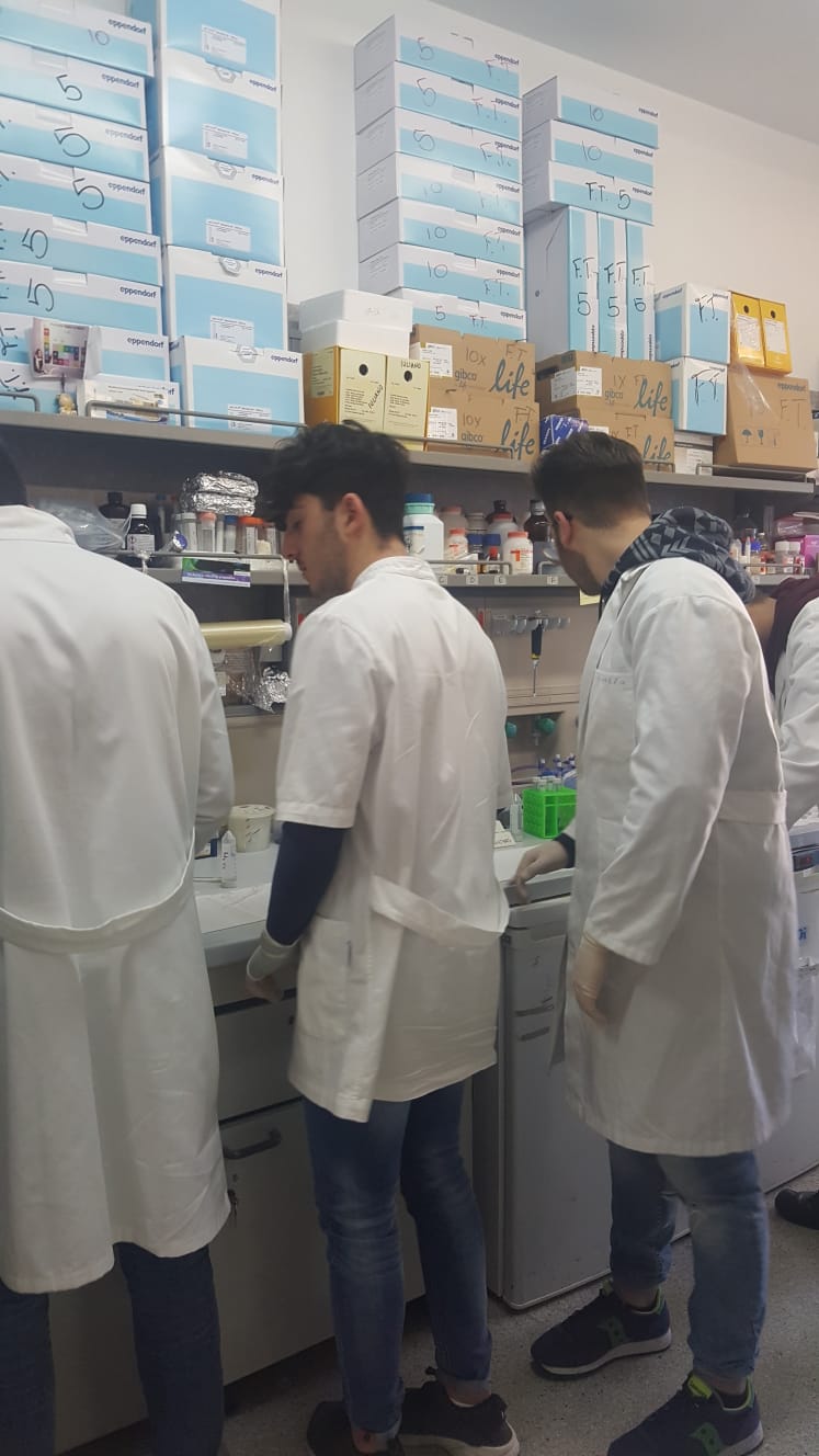 Orientamento universitario area arti mediche laboratorio di oncologia molecolare dellUMG 2
