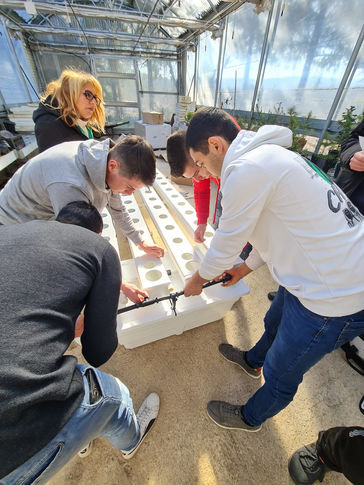 WhatsApp Image 2024-01-31 at 11.51.37